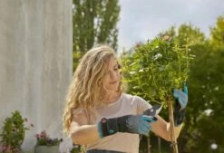 Gardena Handschoenen Rozenonder. Maat M 5 Gardena Handschoenen Rozenonder. Maat M -Gardena Winkel 970471601 3 GARDENA20HANDSCHOENEN20ROZENONDER.20MAAT20M