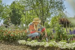 Gardena Ecoline Onkruidsteker -Gardena Winkel 970535501 4 GARDENA20ECOLINE20ONKRUIDSTEKER