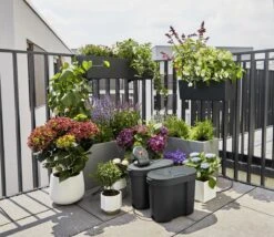 Gardena Aquabloom Set + Waterreservoir -Gardena Winkel 970548701 3 GARDENA20AQUABLOOM20SET2020WATERRESERVOIR