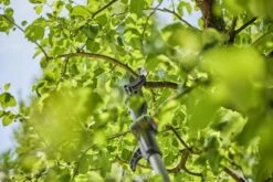 Gardena Accu-telescoop Takkenschaar Set -Gardena Winkel 970632501 3 Gardena20Accu Telescoop20Takkenschaar20Set